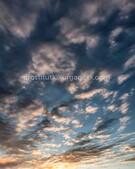 Анкета проститутки Анечка - метро Аэропорт, возраст - 22